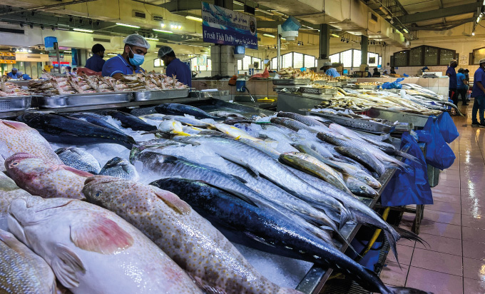 Mina Fish Market
