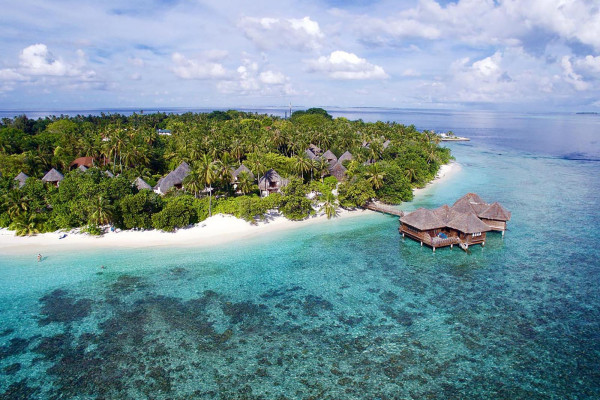 THE BANDOS EXPERIENCE